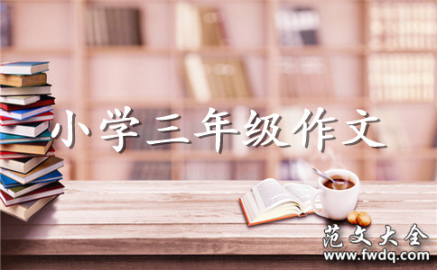 煮鸡蛋