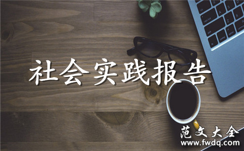 2021ѧҵʵ鱨淶
