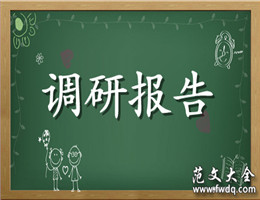 调研报告