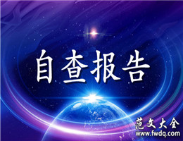 自查报告